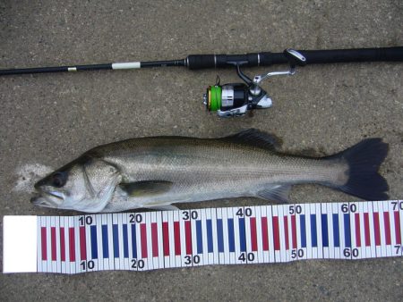 夕暮れ時短時間勝負！